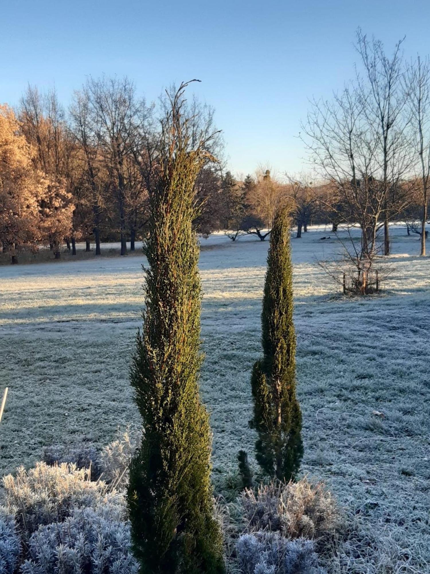 Domaine De Chalaniat Bed & Breakfast La Sauvetat  Luaran gambar